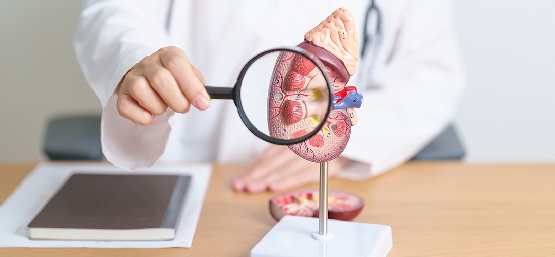 Os 5 estágios da doença renal crônica