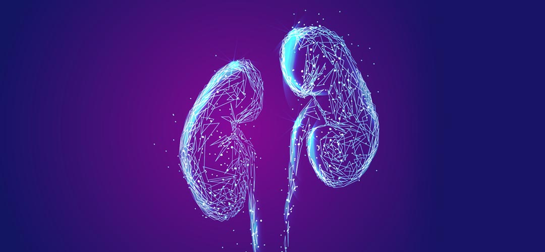 Complicações renais em pacientes intubados com Covid-19