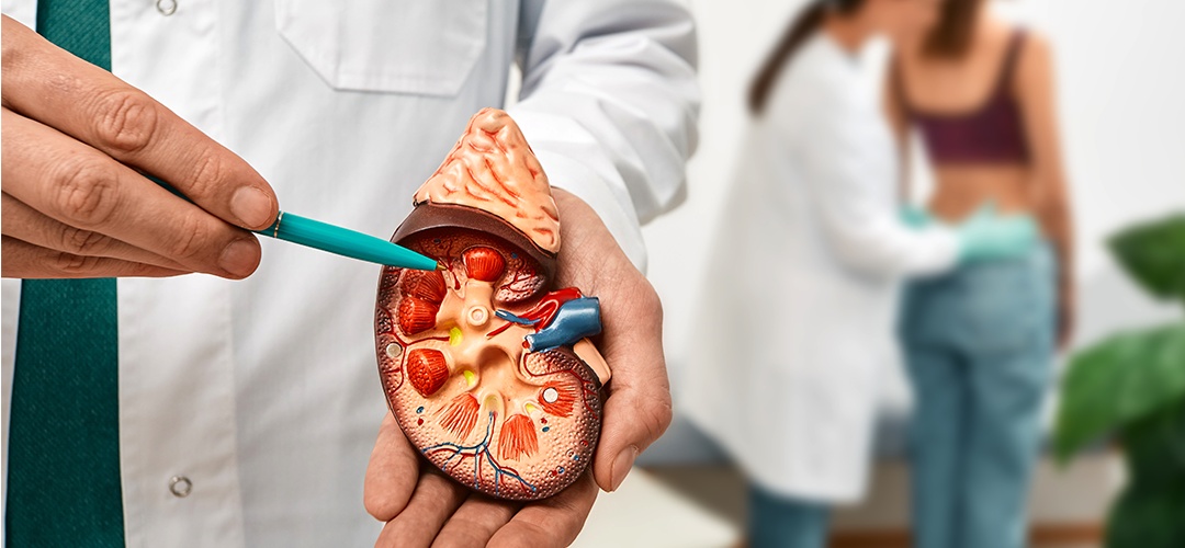 O que são doenças renais e quais são as mais comuns?