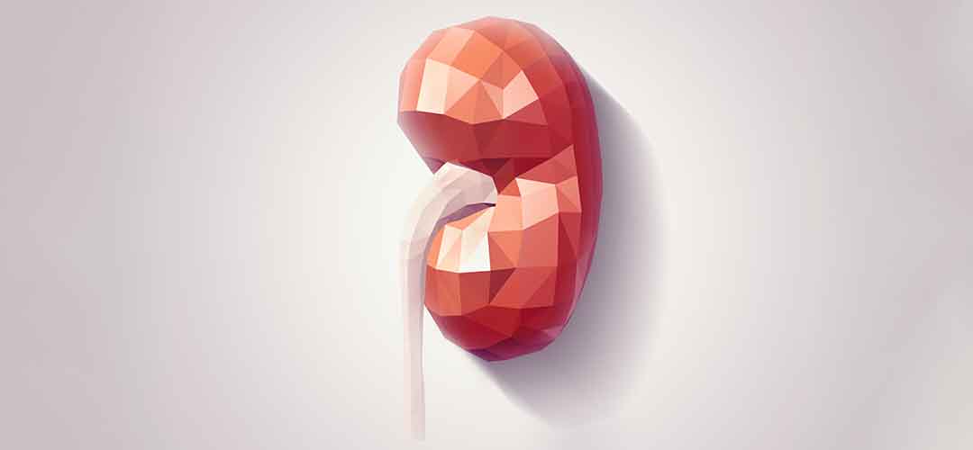 5 cuidados para evitar problemas nos rins