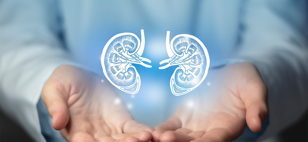 E-book – Guia completo para cuidar da saúde dos rins
