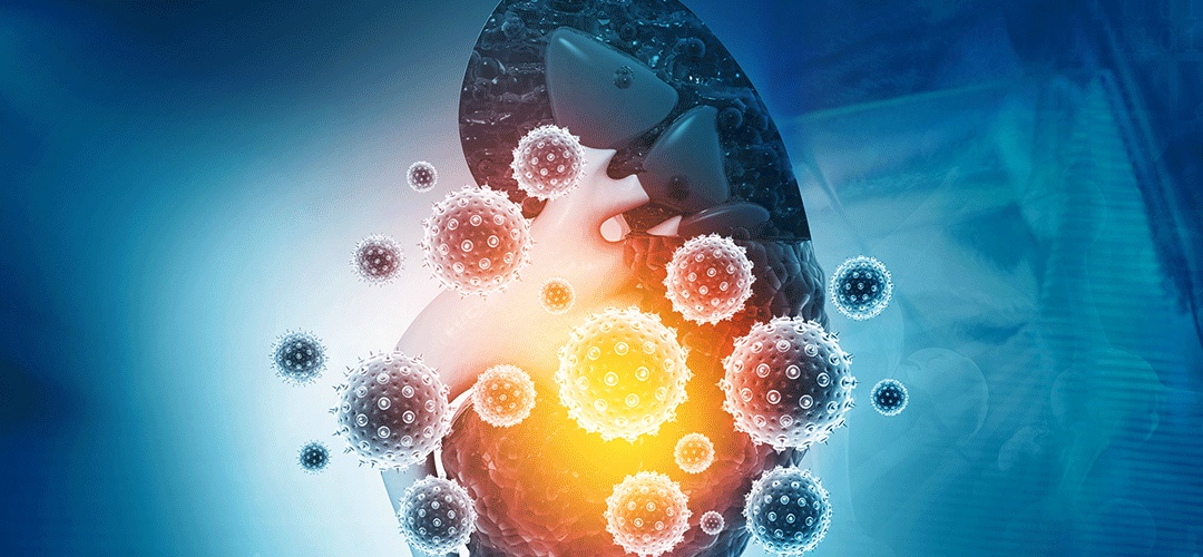 Tudo sobre a doença renal crônica