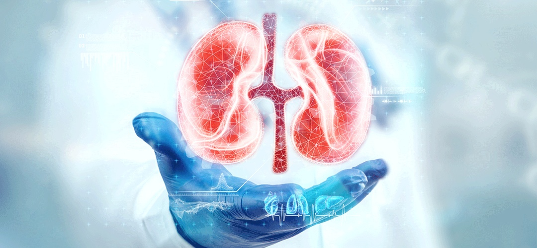 Conheça os principais tratamentos para doença renal crônica
