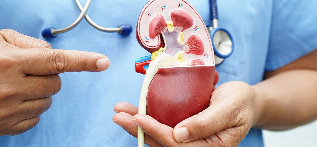 Taxa de filtração glomerular normal ou baixa: como saber?