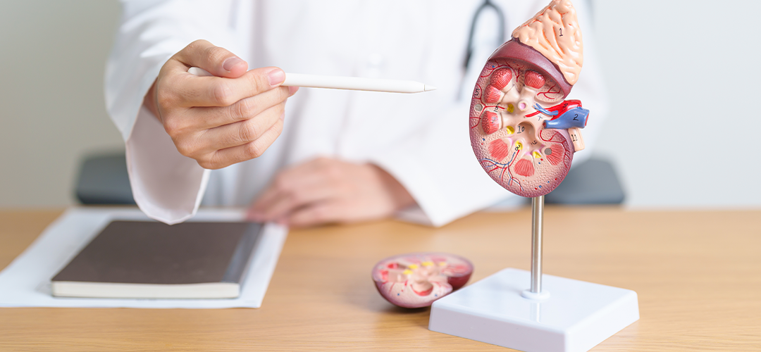 O risco de infecção em pacientes com doença renal crônica