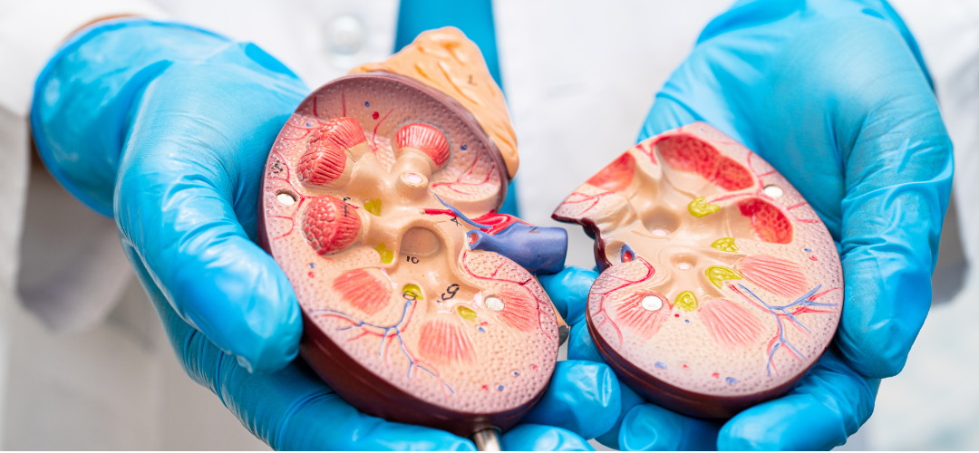 E-book- Doença Renal Crônica: conheça a jornada do paciente e seus desafios