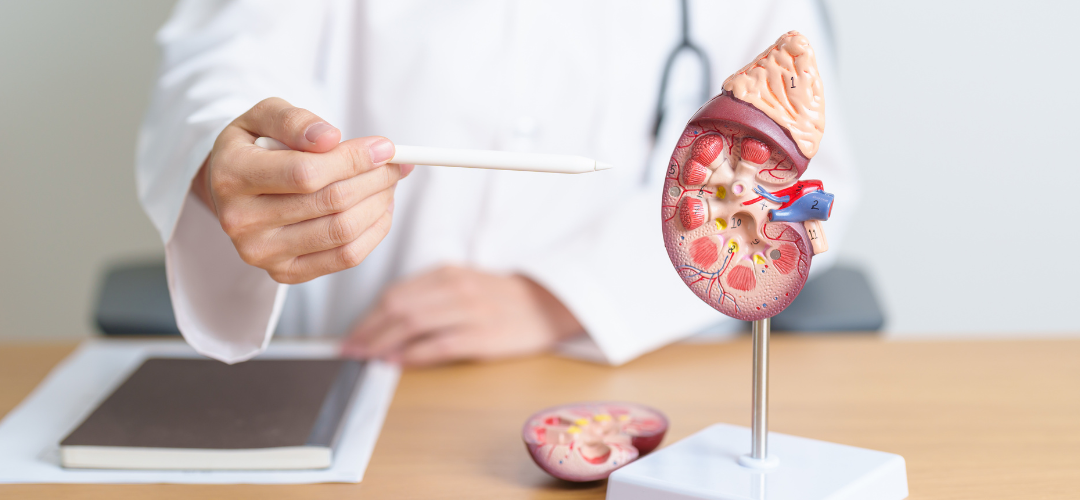 Quais são os tratamentos para insuficiência renal?