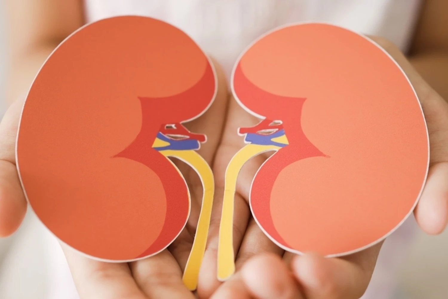 Quais são os fatores de risco para doença renal crônica?